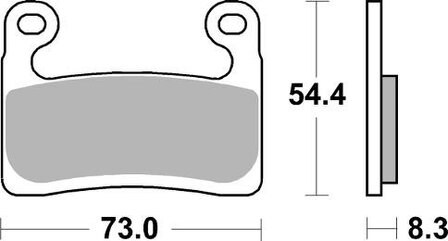 SBS Dual Sinter DS-1 remblokken front / BMW